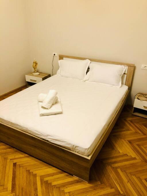 Ultra-Central And Elegant Ap In Opera Square Vic23 蒂米什瓦拉 外观 照片