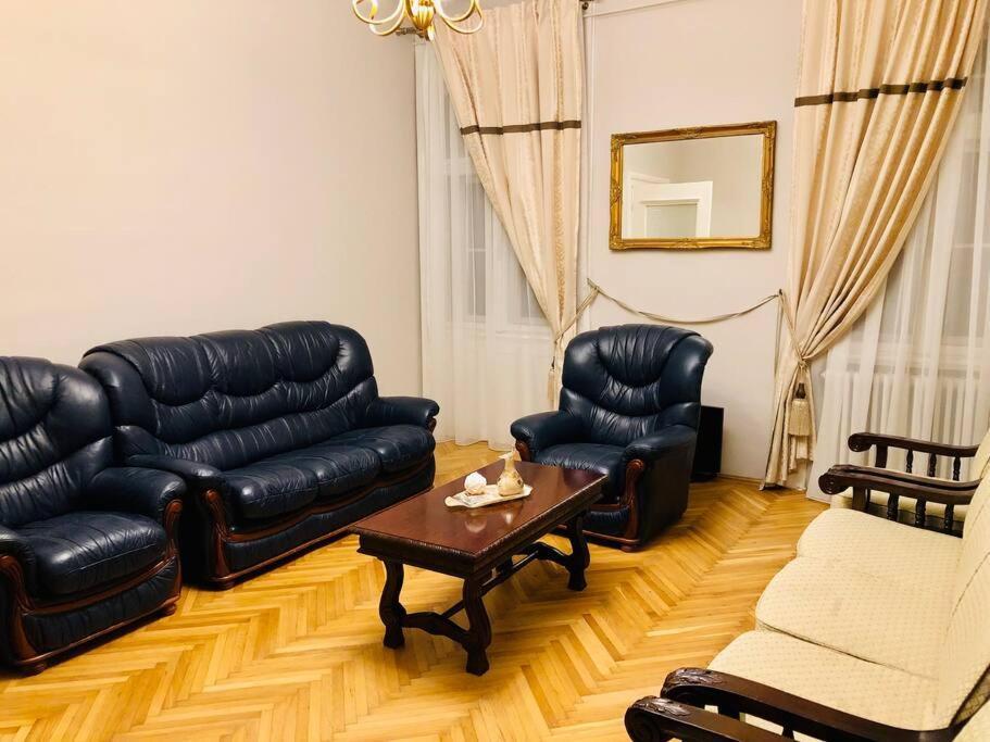 Ultra-Central And Elegant Ap In Opera Square Vic23 蒂米什瓦拉 外观 照片