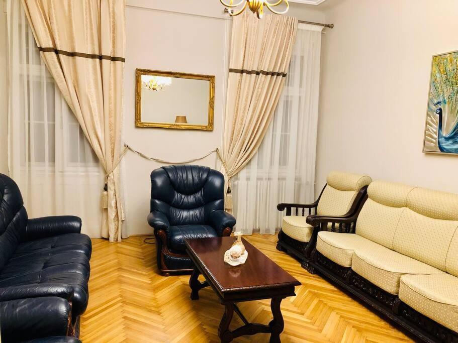 Ultra-Central And Elegant Ap In Opera Square Vic23 蒂米什瓦拉 外观 照片