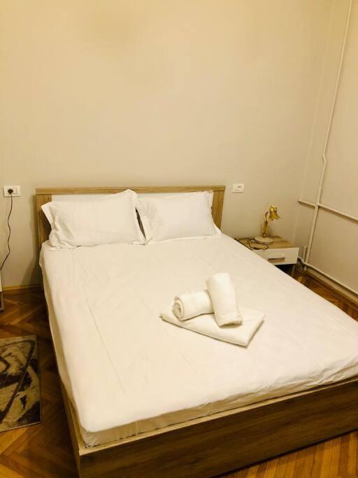 Ultra-Central And Elegant Ap In Opera Square Vic23 蒂米什瓦拉 外观 照片